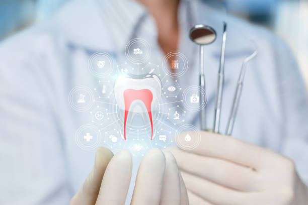 Reliable St Charles, MI Holistic Dental Care Services Solutions